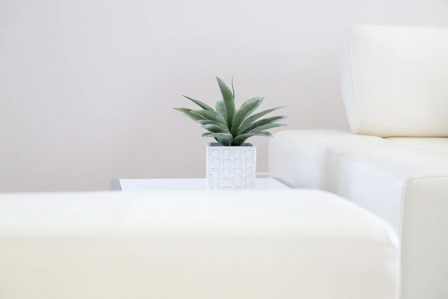 白いソファと小さな観葉植物が置かれた明るい待合